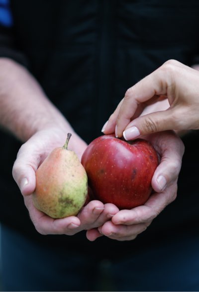 fall prevention for seniors at home